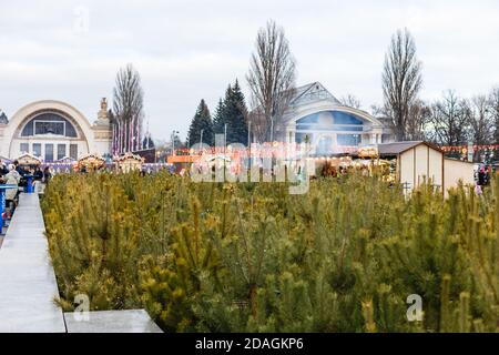 Kiev, UCRAINA - 26 gennaio 2020 Inverno Paese vdnh mostra decorata per il nuovo anno e vacanze di natale Foto Stock