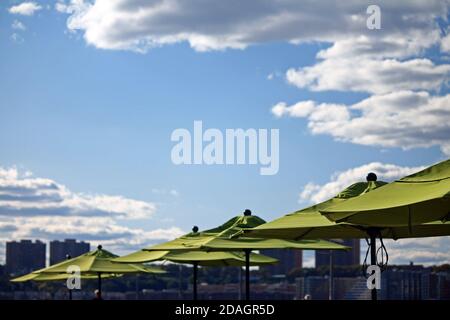 Una serie di ombrelli verdi in una giornata estiva Foto Stock