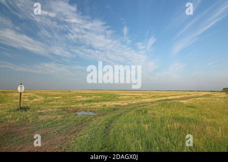 puszta a sud di Hortobagy, Ungheria, Hajdu-Bihar, Parco Nazionale di Hortobagy Foto Stock