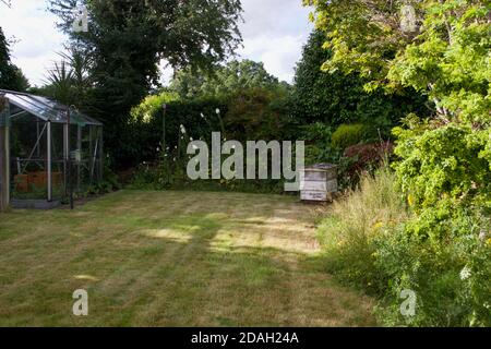 Una serra, alimentatore di uccelli e alveare in legno in un piccolo giardino inglese tradizionale: Fiorini in crescita (digitalis) circondato da alberi e siepi con Foto Stock