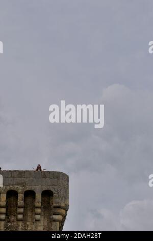 Una ragazza adolescente, con lunghi capelli brunette, si pone sulla cima dell'alta torre di pietra di un castello medievale europeo in rovina. Contro un cielo nuvoloso grigio. Foto Stock