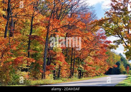 Trout Lake, Michigan, Stati Uniti. Alberi lungo un paese che esplodono in una varietà di colori mentre l'autunno scende sulla penisola superiore del Michigan. Foto Stock