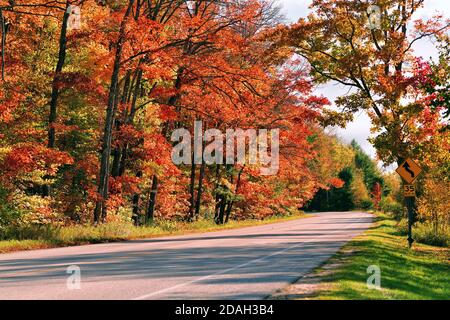 Trout Lake, Michigan, Stati Uniti. Alberi lungo un paese che esplodono in una varietà di colori mentre l'autunno scende sulla penisola superiore del Michigan. Foto Stock