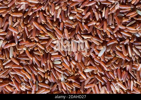 Consistenza di grani di riso rosso non cotti. Foto Stock