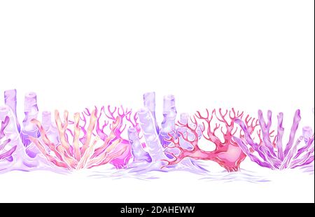 Bordo orizzontale senza giunture con coralli al neon cartoon, reef e spugna su sfondo bianco. Vita marina sul fondo marino. Modello vettoriale per frame, schede Illustrazione Vettoriale