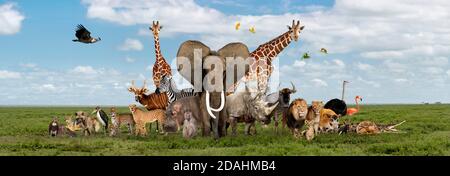 Gran gruppo di fauna africana, safari animali selvatici insieme, in una fila, isolati Foto Stock