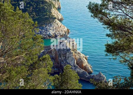 Unica vista ad alto angolo della famosa chiesa di Portovonere sulla cima della scogliera di Byron contro il ramo degli alberi e il mare azzurro limpido, la Spezia, Liguria, Italia Foto Stock