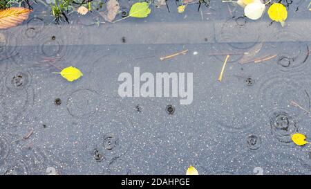 sopra la vista di puddle con le foglie caduti galleggianti sul marciapiede in autunno pioggia Foto Stock