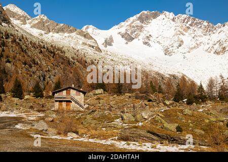 Vista sulla montagna con cabina nella Val di Preda Rossa a fine autunno, con neve e pini d'arancio in una giornata di sole. Val Masino, Lombardia, Italia. Foto Stock