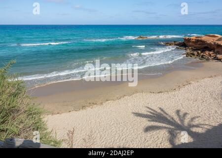 La spiaggia, i fiori e l'ombra di palme in Pilar de la Horadada. Foto Stock