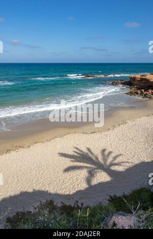 La spiaggia, i fiori e l'ombra di palme in Pilar de la Horadada. Foto Stock