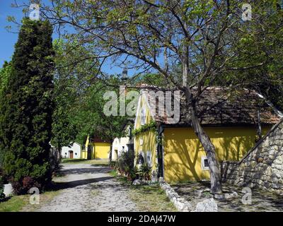 Austria, piazza con diverse cantine scavate nel terreno per la temperatura e la conservazione ideali Foto Stock