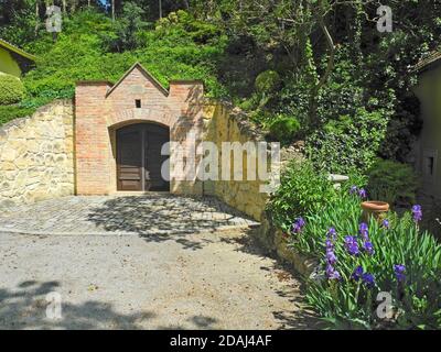 Austria, cantina scavata nel terreno per temperatura e stoccaggio ideali Foto Stock