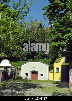 Austria, cantina scavata nel terreno per temperatura e stoccaggio ideali Foto Stock