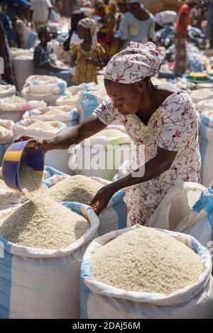 Selingue, Mali, 25 aprile 2015; preparazione di sacchi di riso nella giornata di mercato. Foto Stock