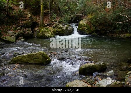 Fiume Cornaa e piccola cascata in autunno Foto Stock