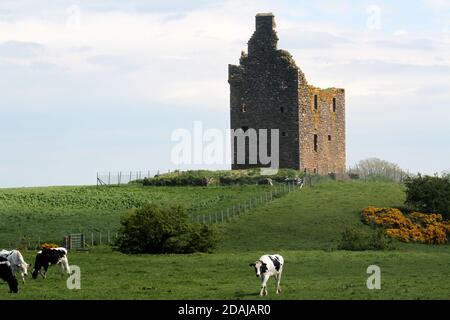 Baltersan Castle, Maybole, Ayrshire, Scozia, Regno Unito. Il castello di Baltersan è una casa a torre in rovina a pianta L Lit è stato originariamente classificato come edificio di categoria B nel 1971, ma questo è stato aggiornato alla categoria A nel 1995. Foto Stock