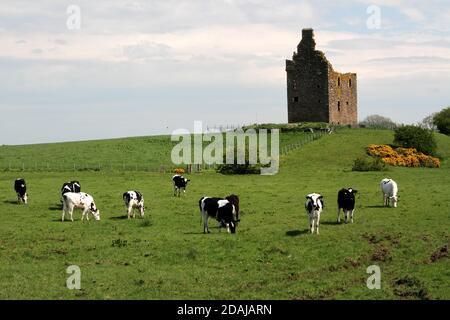 Baltersan Castle, Maybole, Ayrshire, Scozia, Regno Unito. Il castello di Baltersan è una casa a torre in rovina a pianta L Lit è stato originariamente classificato come edificio di categoria B nel 1971, ma questo è stato aggiornato alla categoria A nel 1995. Foto Stock