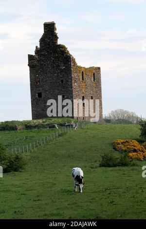 Baltersan Castle, Maybole, Ayrshire, Scozia, Regno Unito. Il castello di Baltersan è una casa a torre in rovina a pianta L Lit è stato originariamente classificato come edificio di categoria B nel 1971, ma questo è stato aggiornato alla categoria A nel 1995. Foto Stock