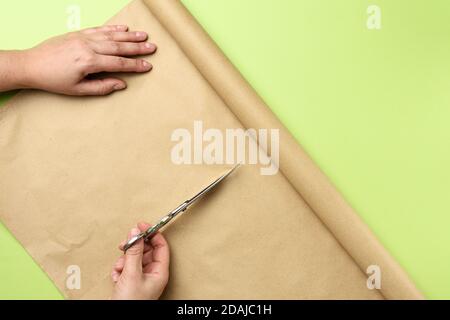 la mano femmina taglia un rotolo di carta marrone con forbici di ferro su sfondo verde, vista dall'alto Foto Stock