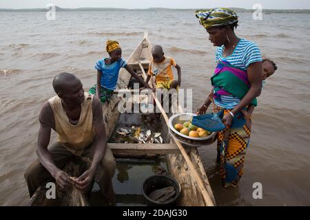 Selingue, Mali, 27 aprile 2015; pescatore Mama Kanta, 32 Con il fratello Soumara 9, e la sorella Fatouma, 14 anni. Stanno commerciando il pesce per un sacchetto delle arachidi con Djenebou Sidibe, che sta commerciando per alimentare la sua famiglia. Foto Stock