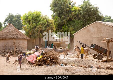 Villaggio di Tanga, regione di Selingue, Mali, 27 aprile 2015; vita di strada. Foto Stock