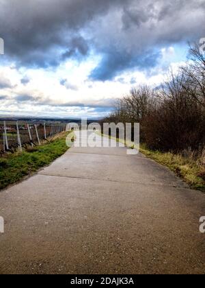 Immagine verticale di una strada asfaltata curvilinea che attraversa un paesaggio rurale vigneto sotto un cielo nuvoloso Foto Stock