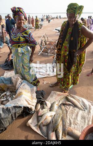 Mercato del pesce di Carriere, Selingue, Mali, 27 aprile 2015; commercianti che portano il loro pesce in vendita il giorno del mercato. Fanta Fouret, 66, in abito verde con macchie rosse sta acquistando pesce dai pescatori per vendere ai compratori da Bamako. Foto Stock