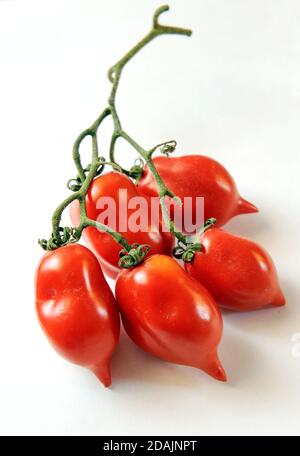 Spaghetti con condimento di pomodori Piennolo della Campania e. vongole su sfondo bianco isolate Foto Stock