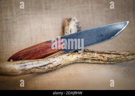 Hunter combattono a mano coltello e cervi antlers Foto Stock