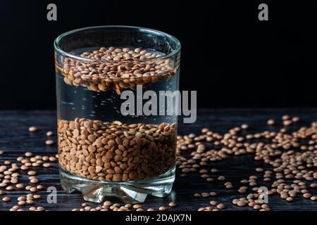 i fagioli di lenticchia sono bagnati in un bicchiere d'acqua. preparazione per germogliare le lenticchie Foto Stock