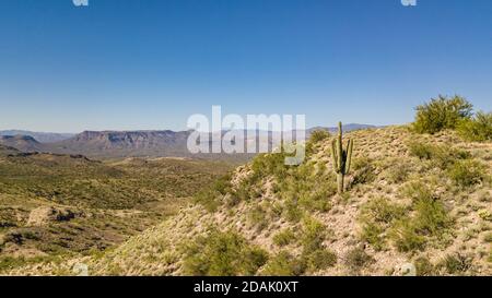 Un cactus vicino ad un piccolo sentiero in Phoenix Arizona Foto Stock