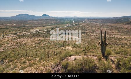 Un cactus vicino ad un piccolo sentiero in Phoenix Arizona Foto Stock