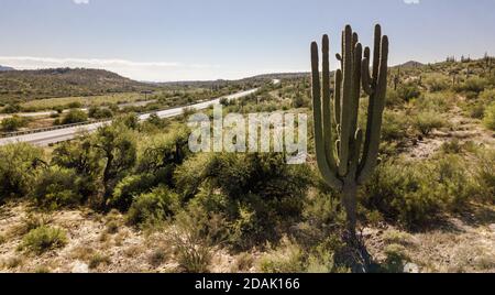 Un cactus vicino ad un piccolo sentiero in Phoenix Arizona Foto Stock