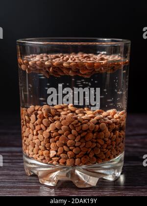 primo piano di lenticchie sono imbevuti in un bicchiere d'acqua. preparazione per germogliare lenticchie Foto Stock