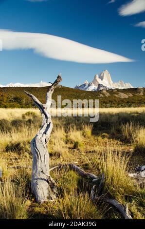 Bellissimo Parco Nazionale Fitz Roy in Patagonia Foto Stock