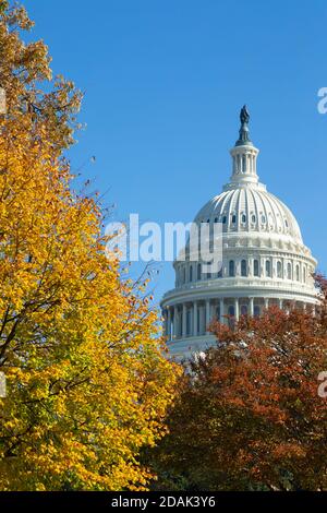 Il Capitol Building East front Washington DC USA Foto Stock