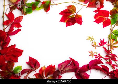 Foglie stagionali autunnali con cornice e spazio per il testo, sfondo autunno Foto Stock