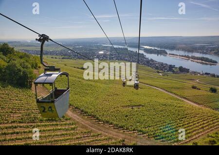 Il giro in funivia passa sopra i grandi vigneti sopra la città di Rudesheim sul fiume Reno, Darmstadt, Heese, Germania Foto Stock