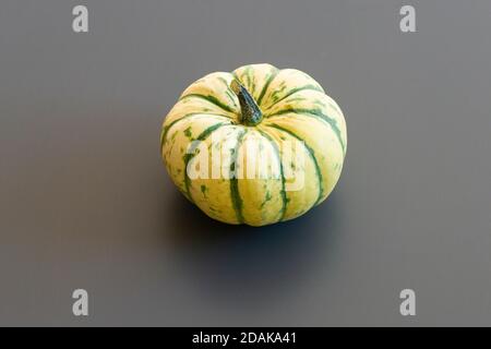 Una zucca invernale di colore giallo pallido e verde Foto Stock