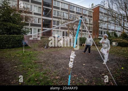 Roehampton, Southwest London, Regno Unito. 13 novembre 2020. Sport all'aperto durante il Coronavirus Lockdown n. 2, Roehampton, Southwest London, UK i residenti locali del Punjabi giocano a badminton al di fuori del loro blocco di appartamenti a Roehampton durante il Coronavirus Lockdown n. 2 in un pomeriggio di autunno soleggiato, Southwest London, England United Kingdom Credit: Jeff Gilbert/Alamy Live News Foto Stock