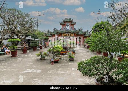 Alberi di Bonsai in pentole al di fuori della Sala dell'Assemblea Cinese, Hoi An, Vietnam, Asia Foto Stock