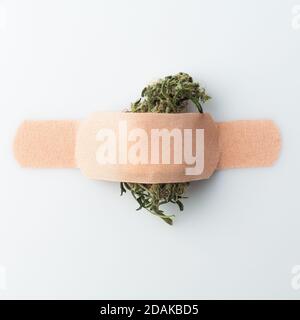 Il germoglio di cannabis è incollato con intonaco appiccicoso su una parete bianca. Foto Stock