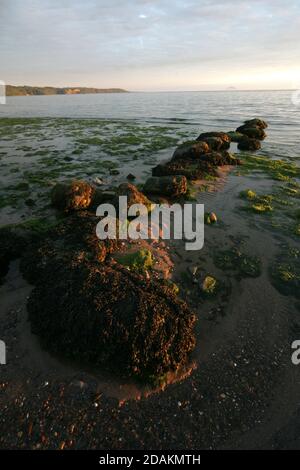 Ayrshire Croy Shore texture e rocce Foto Stock