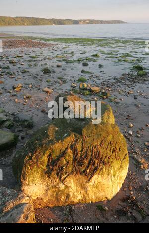 Ayrshire Croy Shore texture e rocce Foto Stock