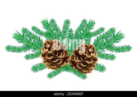 Ramo di abete con cono isolato su fondo bianco. Albero di Natale ramoscelli. Decorazioni per le vacanze invernali. Rametto di abete rosso con pineconi. Illustrazione vettoriale stock Illustrazione Vettoriale