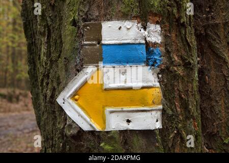 Tradizionali frecce gialle e blu che indicano le indicazioni per diversi percorsi turistici nella foresta vicino al villaggio di Želízy nella Boemia centrale, Repubblica Ceca. Foto Stock