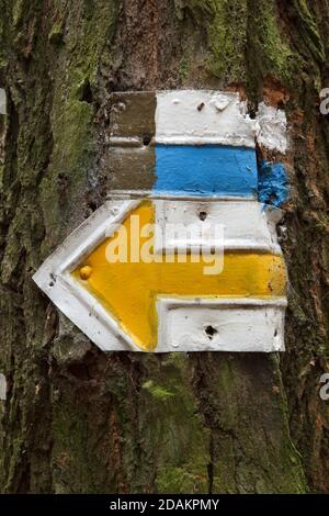 Tradizionali frecce gialle e blu che indicano le indicazioni per diversi percorsi turistici nella foresta vicino al villaggio di Želízy nella Boemia centrale, Repubblica Ceca. Foto Stock