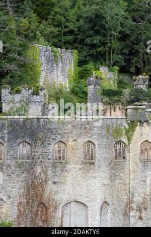 Rovine del castello di Gwrych vicino ad Abergele a Conwy, Galles del Nord, Regno Unito Foto Stock