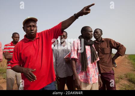 Selingue, Mali, 28 aprile 2015; Brahima Sory Traore, (camicia rossa) tecnico agricolo superiore per il team di consulenza Selingue che consiglia l'agricoltore Sekou Foto Stock